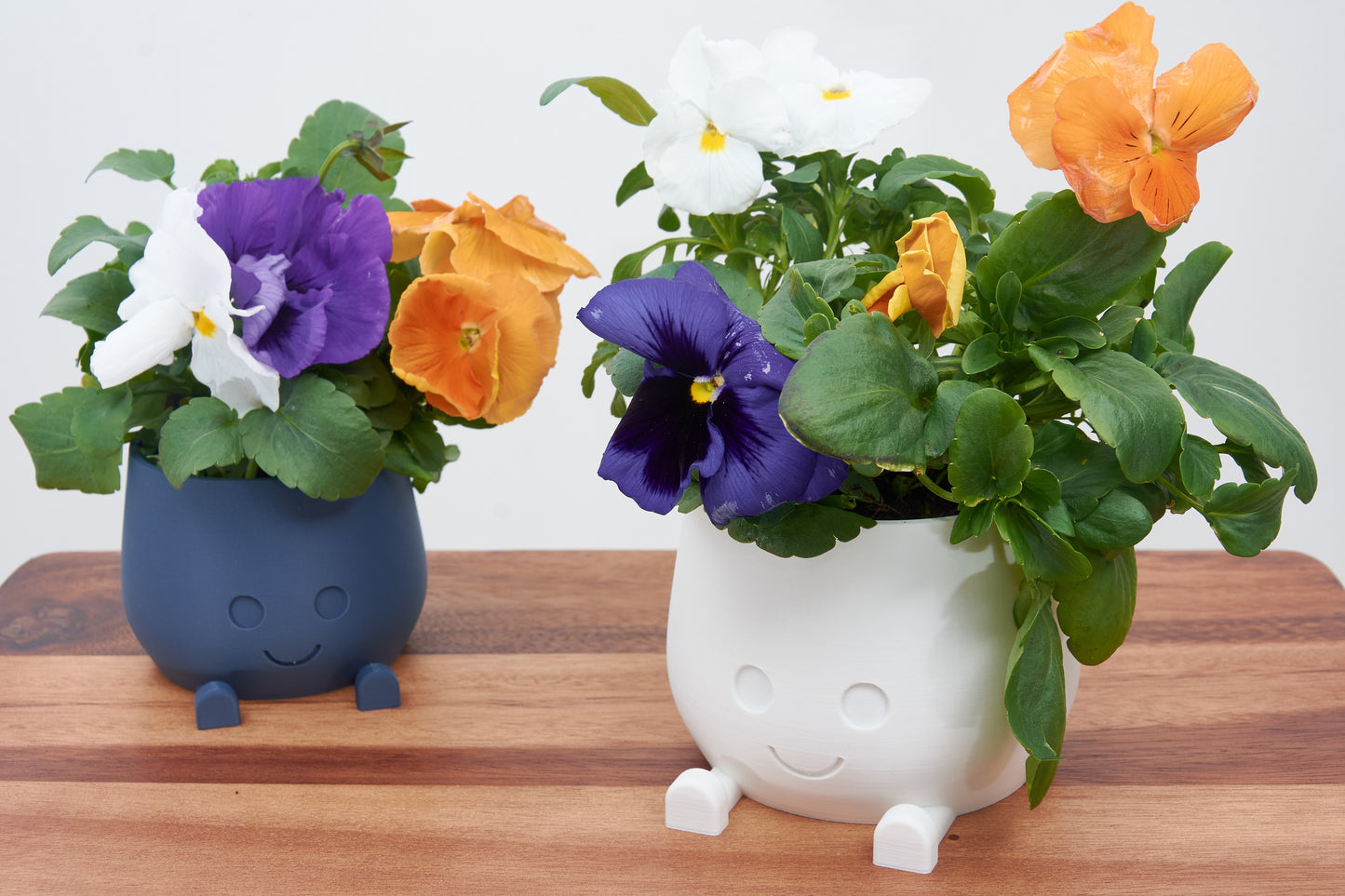 Cute plant pot Smiling Pot Smiley Face Pot Sprinkle Some Joy in Your Plant Corner Playful Planter A Dash of Humor for Your Indoor Garden