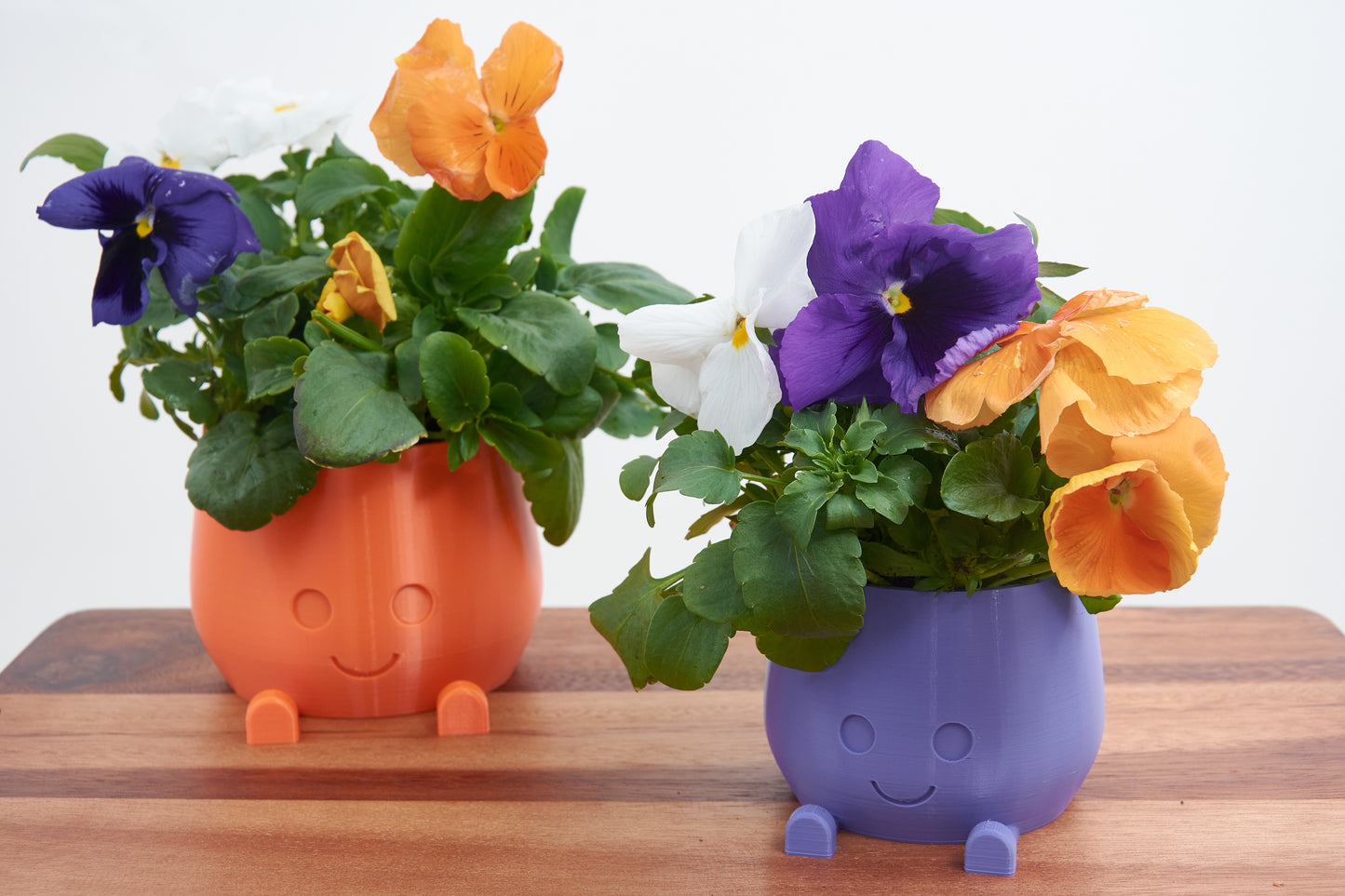 Cute plant pot Smiling Pot Smiley Face Pot Sprinkle Some Joy in Your Plant Corner Playful Planter A Dash of Humor for Your Indoor Garden