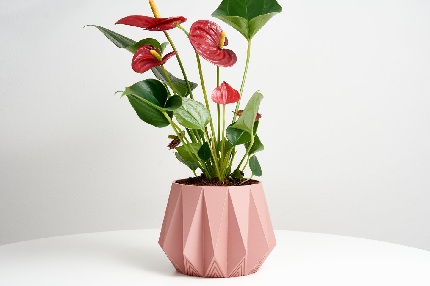 Decorative Potted Planter | Minimalist Design | Plant Pot for Air Plants & Succulents | Indoor Planter Decor | Housewarming gift | H 10cm