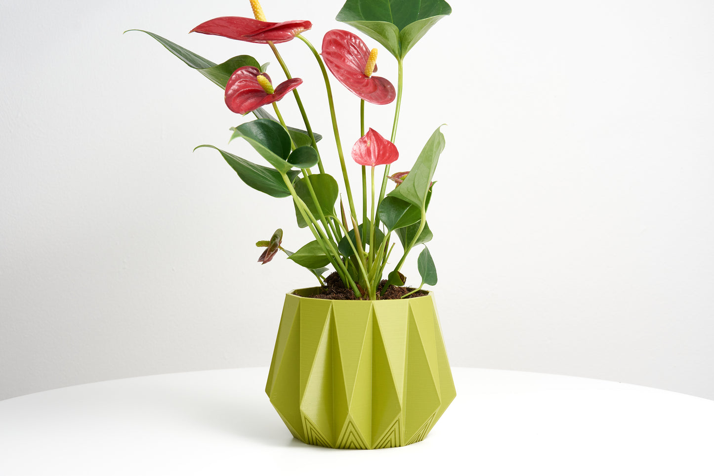 Decorative Potted Planter | Minimalist Design | Plant Pot for Air Plants & Succulents | Indoor Planter Decor | Housewarming gift | H 10cm