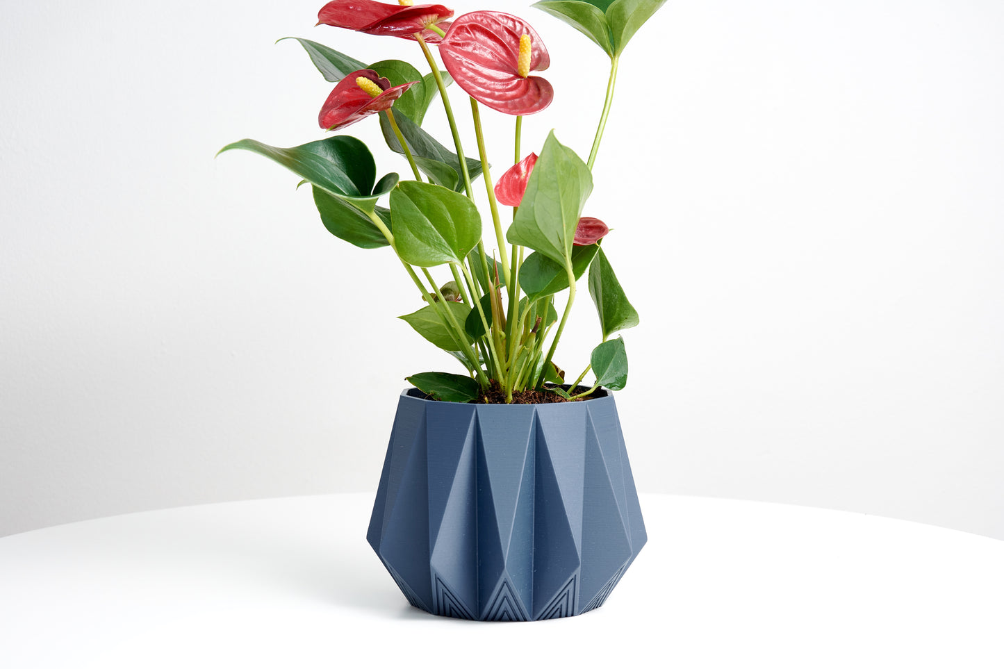 Decorative Potted Planter | Minimalist Design | Plant Pot for Air Plants & Succulents | Indoor Planter Decor | Housewarming gift | H 10cm