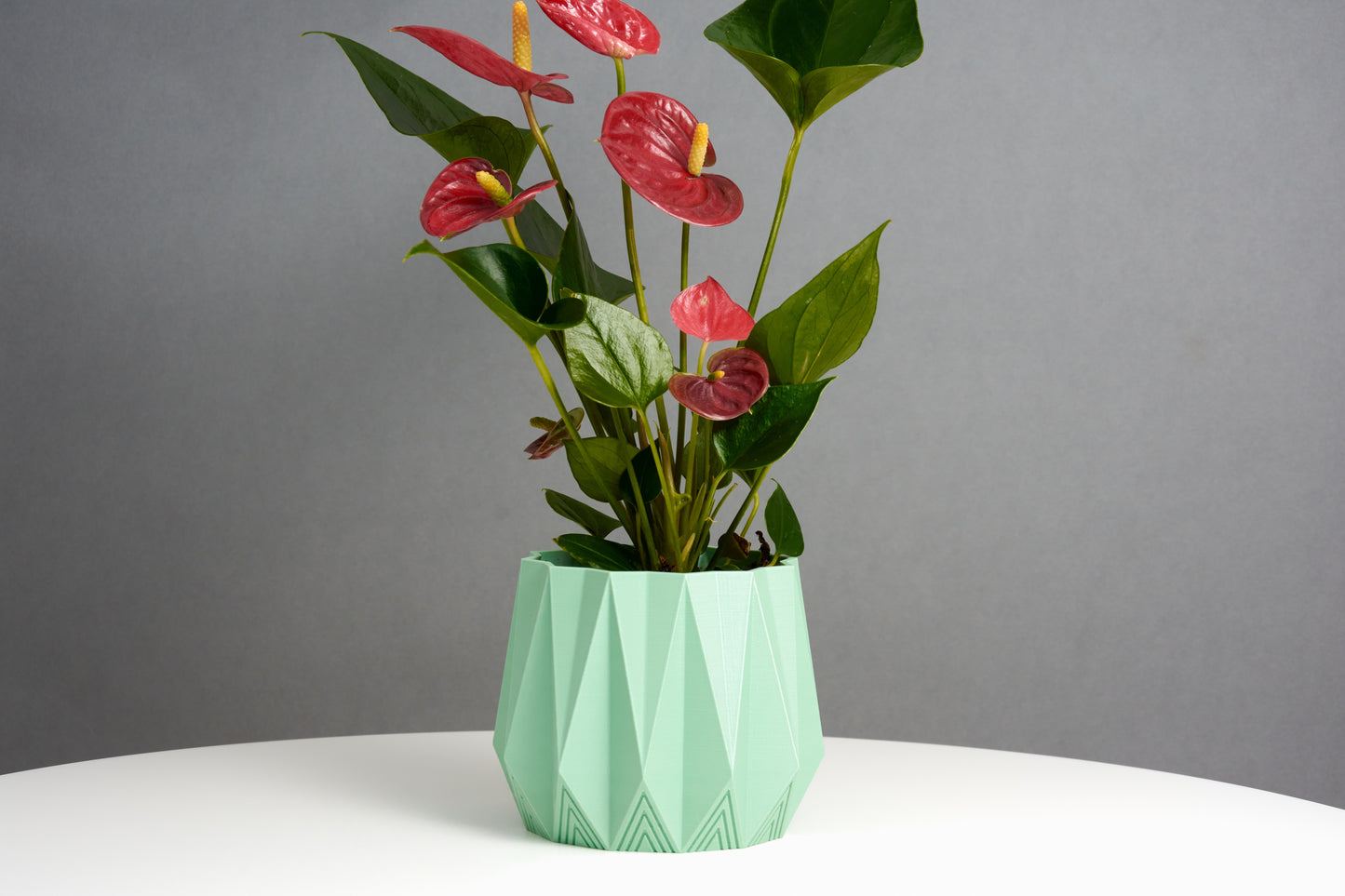 Plant Pot | Geometric Pot | Indoor Planter decor | Decorative Pot | Plant Holder | Minimalist design | Housewarming Gift