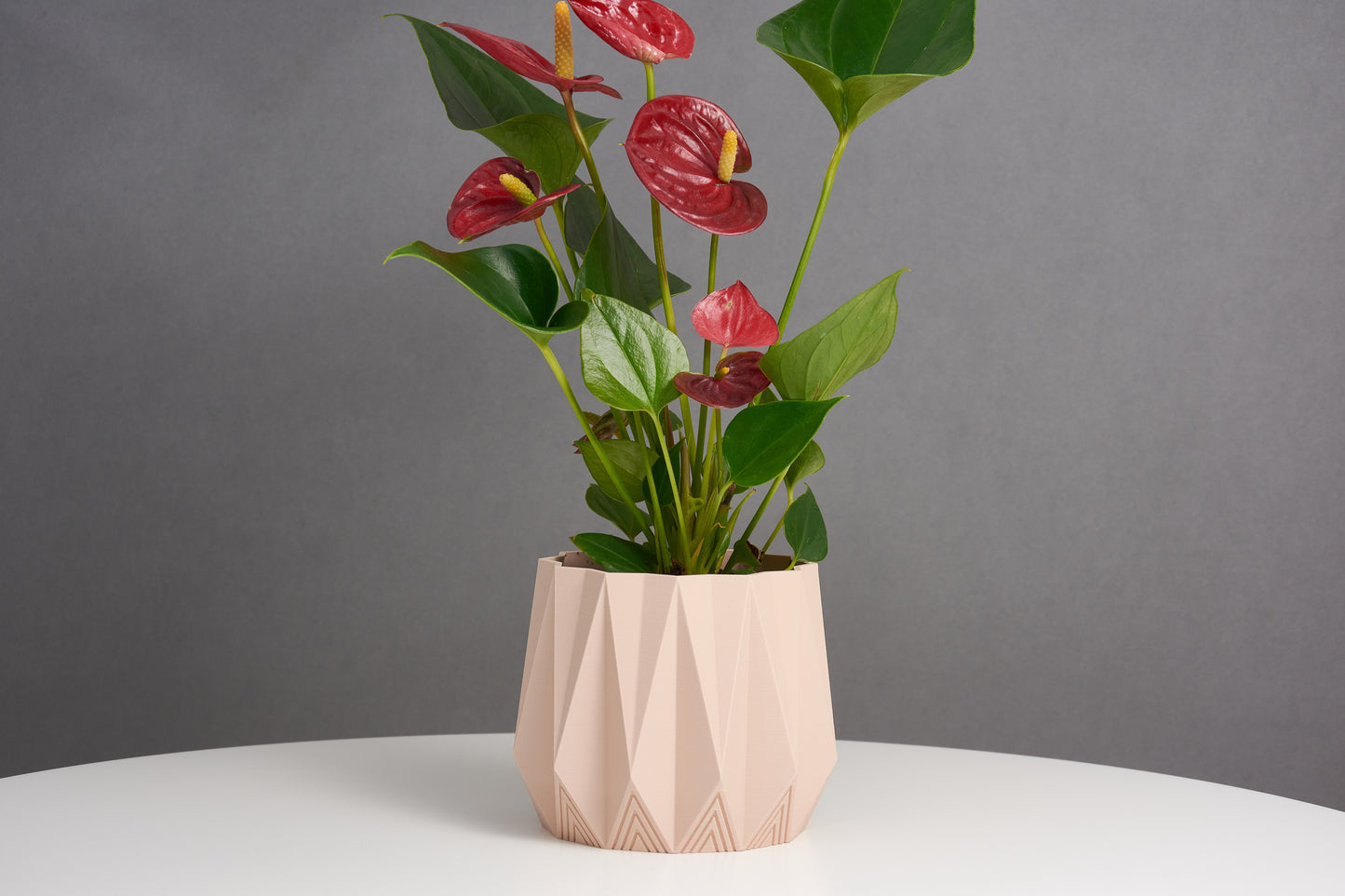 Plant Pot | Geometric Pot | Indoor Planter decor | Decorative Pot | Plant Holder | Minimalist design | Housewarming Gift