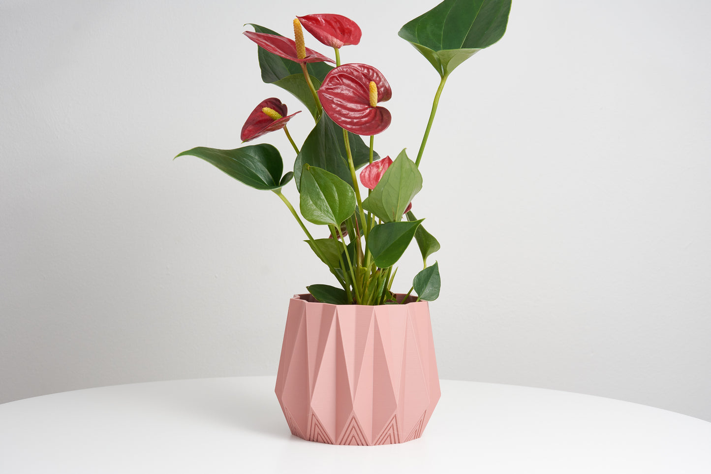 Plant Pot | Geometric Pot | Indoor Planter decor | Decorative Pot | Plant Holder | Minimalist design | Housewarming Gift