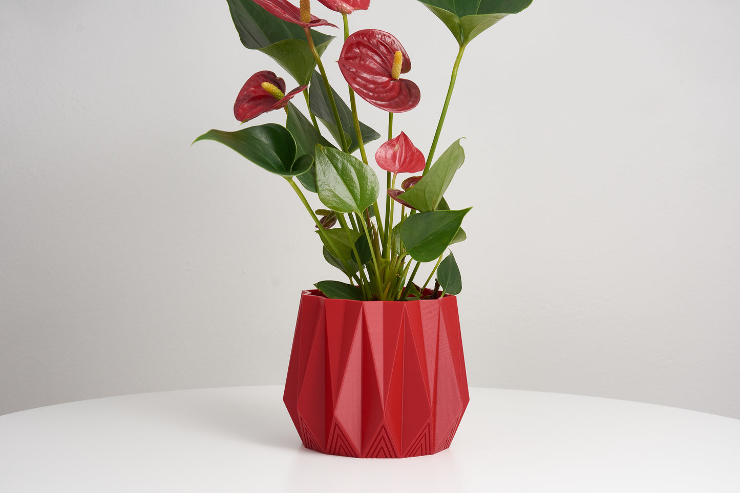 Plant Pot | Geometric Pot | Indoor Planter decor | Decorative Pot | Plant Holder | Minimalist design | Housewarming Gift